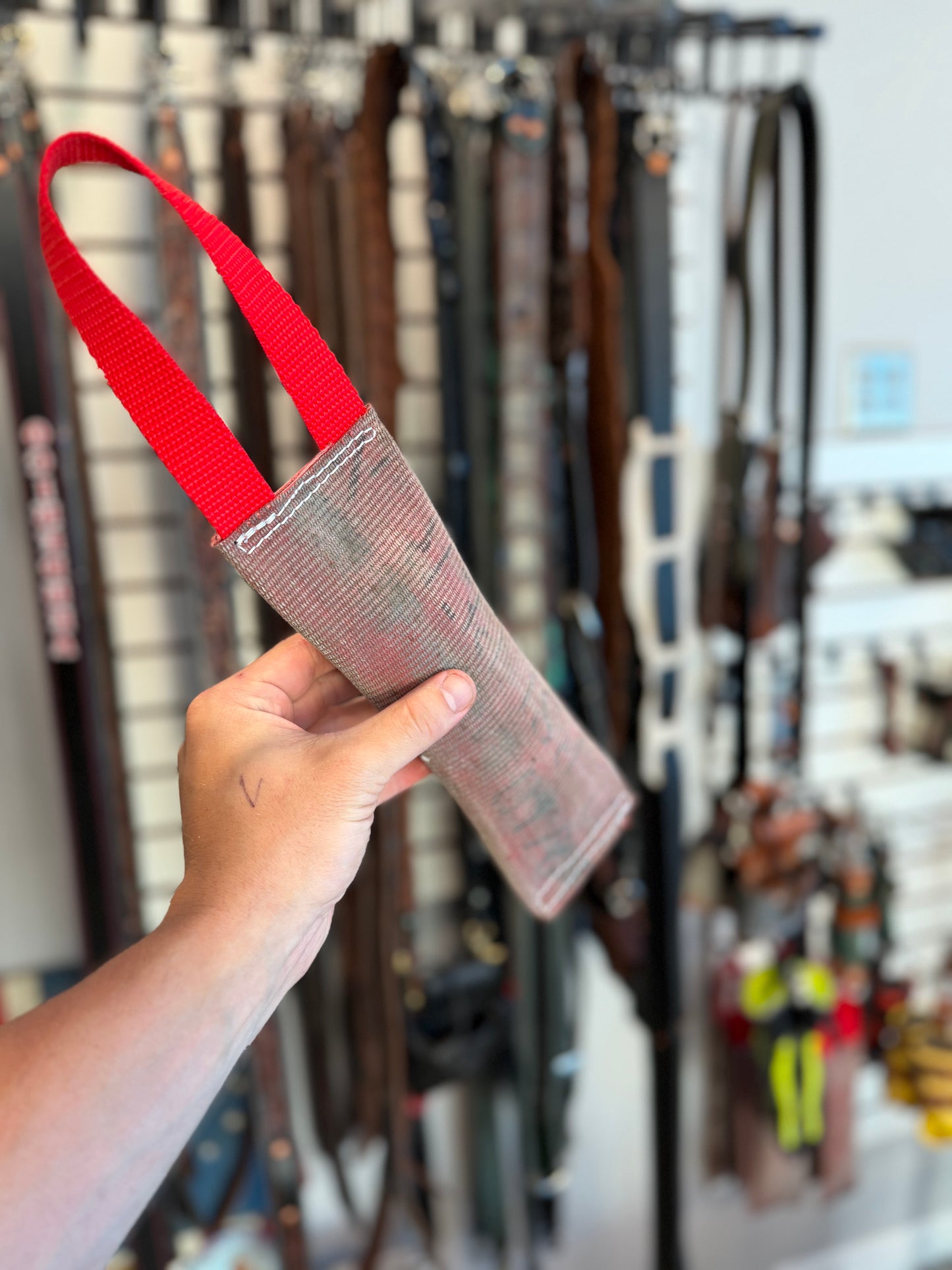 FIRE HOSE DOG TOY
